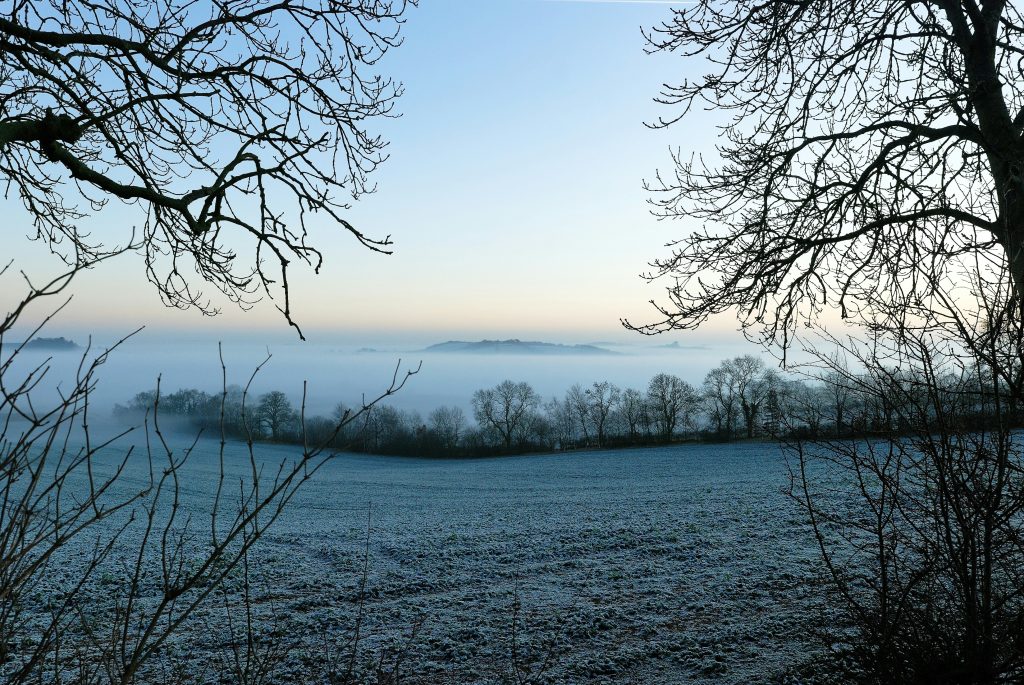 Quel Est Le Mieux Froid Brassé Ou Froid Ventilé ?